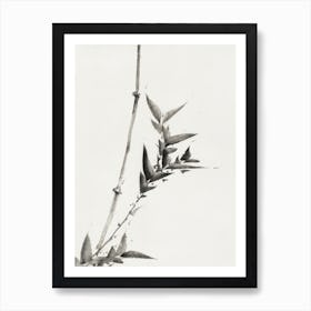 Bamboo, Katsushika Hokusai Art Print