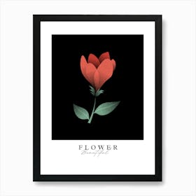 Flower Beautiful Art Print