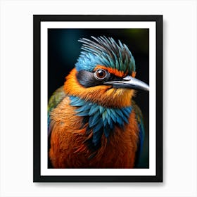 Kingfisher Bird Art Print