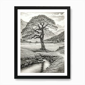 highly detailed pencil sketch of oak tree next to stream, mountain background 7 Art Print