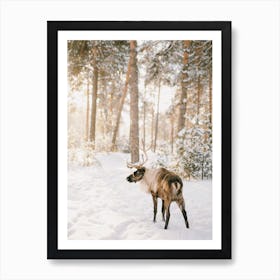 Reindeer In Snowy Forest Art Print