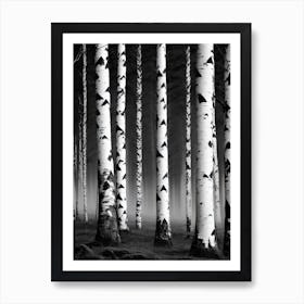 Birch Forest 65 Art Print