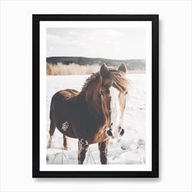 Horse In Snowy Field Art Print