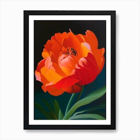 Single Stem Of Peony Orange Colourful 1 Painting Art Print