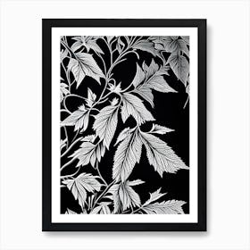 Elderberry Leaf Linocut 2 Art Print