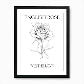 English Rose Black And White Line Drawing 33 Poster Art Print