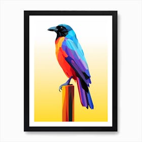 Colourful Geometric Bird Crow 3 Art Print