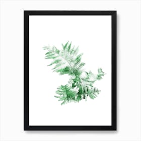 Fern In Oil Art Print