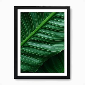 Close Up Of A Green Leaf Art Print