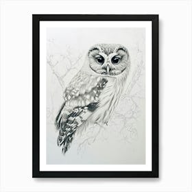 Northern Saw Whet Owl Marker Drawing 4 Art Print