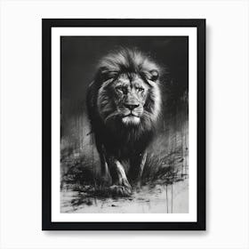 African Lion Charcoal Drawing Lion Charcoal Drawing 1 Art Print