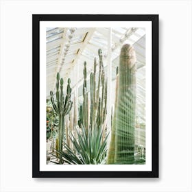 Botanical Garden Of Dublin Art Print