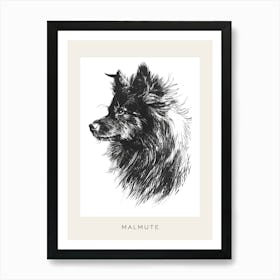 Malmute Furry Dog Line Sketch 3 Poster Art Print