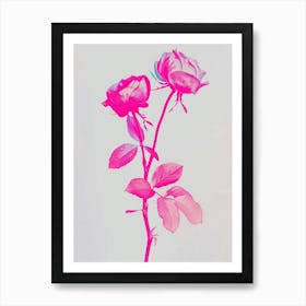 Hot Pink Rose 1 Art Print