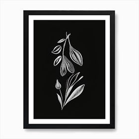 Black Cardamom Spices And Herbs Retro Minimal 1 Art Print