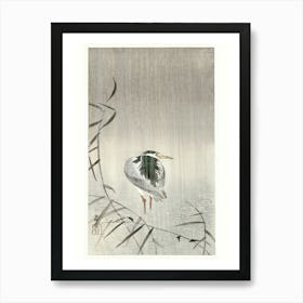 Kwak In Rain (1900 1936), Ohara Koson Art Print