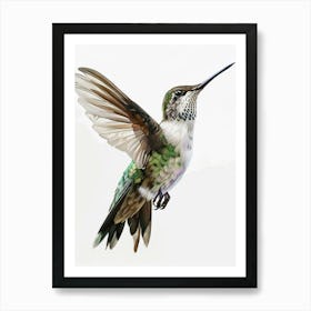 Hummingbird 1 Art Print