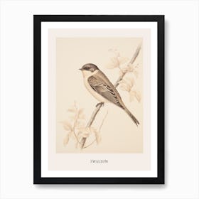 Vintage Bird Drawing Swallow 2 Poster Art Print