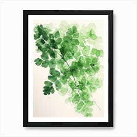 Green Ink Painting Of A Maidenhair Fern 2 Art Print