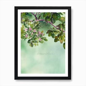 Cyphastrea Storybook Watercolour Art Print