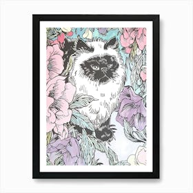 Cute Himalayan Cat With Flowers Illustration 4 Art Print