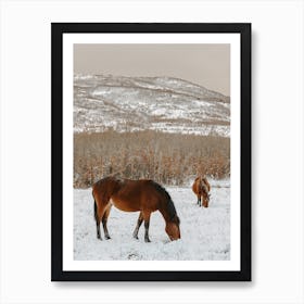 Horses In Snowy Field Art Print