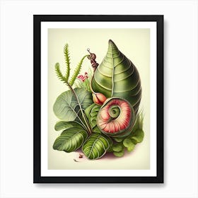 Garden Snail  Botanical Art Print