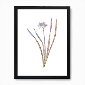 Stained Glass Primrose Peerless Mosaic Botanical Illustration on White n.0141 Art Print