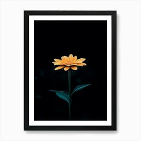 Gerbera Daisy 5 Art Print