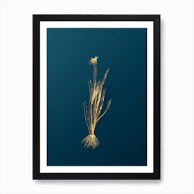 Vintage Narrow leaf Blue eyed grass Botanical in Gold on Teal Blue n.0273 Art Print