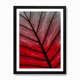 Leaf Red Fade Art Print