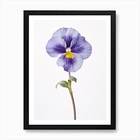 Pressed Wildflower Botanical Art Common Blue Violet Viola 2 Art Print