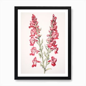 Snapdragons Flower Vintage Botanical 3 Art Print