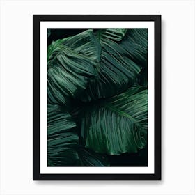 Green Leaves 1 Art Print