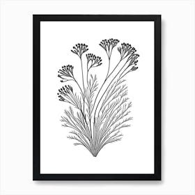 Caraway Herb William Morris Inspired Line Drawing 1 Art Print