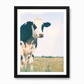 Black Spotted Cow Art Print