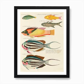 Colourful And Surreal Illustrations Of Fishes Found In Moluccas (Indonesia) And The East Indies, Louis Renard(54) Art Print