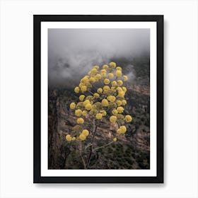 Flowers In The Mountains Italy Art Print