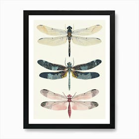 Colourful Insect Illustration Dragonfly 8 Art Print