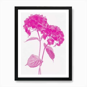 Hot Pink Hydrangea 3 Art Print