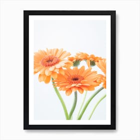 Bright blooming beauties pastel orange gerberas - peach fuzz trend flowers nature and travel photography by Christa Stroo Art Print