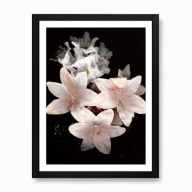 Flower I Art Print