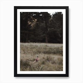 Pheasant Near Forest Art Print