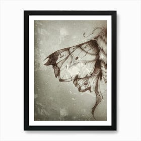 Butterfly graphic drawing , abstract, pencil art, lines, black insect, wings, moth, textured print Art Print