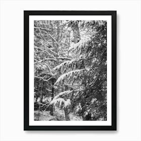 Upstate New York Snow X on Film Art Print