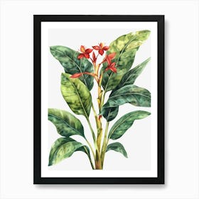 Tropical Plant Canvas Print Art Print