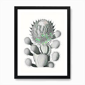 Acanthocalycium Cactus William Morris Inspired 1 Art Print