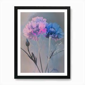 Iridescent Flower Cornflower 3 Art Print