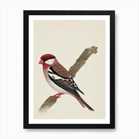 House Sparrow Illustration Bird Art Print
