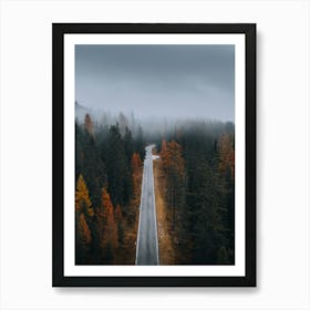 Road In The Forest 1 Art Print
